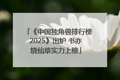 《中国独角兽排行榜2025》出炉 书亦烧仙草实力上榜