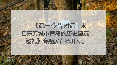 《遗产·今昔·对话：来自东方城市青岛的历史建筑巡礼》专题展在德开幕