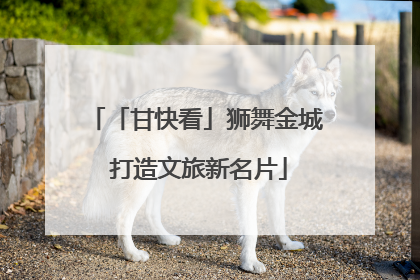 「甘快看」狮舞金城 打造文旅新名片