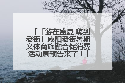 「游在盛夏 嗨到老街」咸阳老街暑期文体商旅融合促消费活动周预告来了！