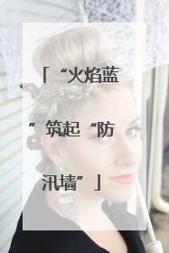 “火焰蓝”筑起“防汛墙”