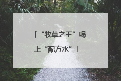 “牧草之王”喝上“配方水”