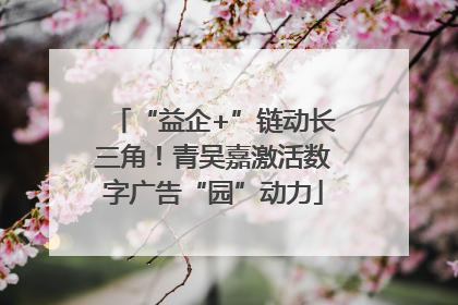 “益企+”链动长三角！青吴嘉激活数字广告“园”动力