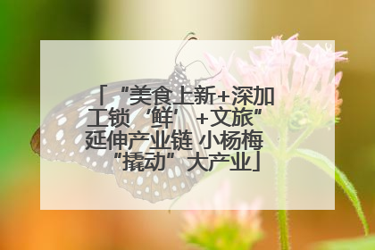 “美食上新+深加工锁‘鲜’+文旅”延伸产业链 小杨梅“撬动”大产业