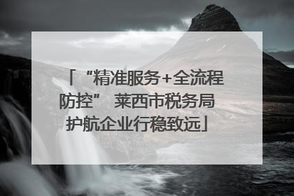 “精准服务+全流程防控” 莱西市税务局护航企业行稳致远