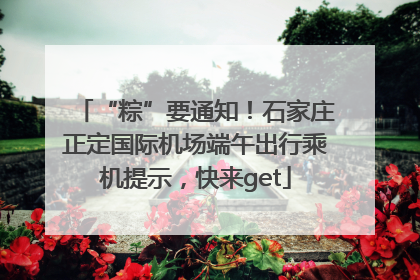 “粽”要通知！石家庄正定国际机场端午出行乘机提示，快来get