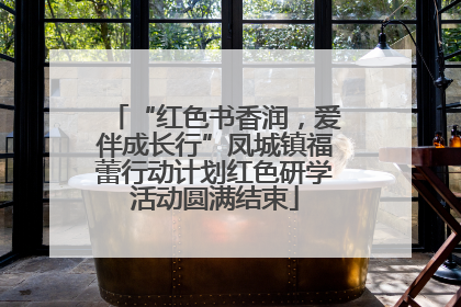 “红色书香润，爱伴成长行”凤城镇福蕾行动计划红色研学活动圆满结束