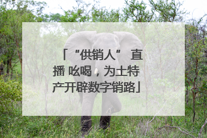“供销人” 直播 吆喝，为土特产开辟数字销路