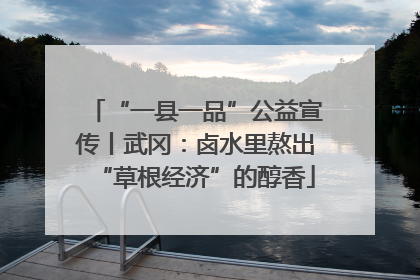“一县一品”公益宣传丨武冈：卤水里熬出“草根经济”的醇香