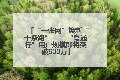 “一张网”焕新“千条路”——“粤通行”用户规模即将突破600万