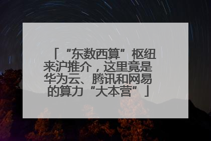 “东数西算”枢纽来沪推介，这里竟是华为云、腾讯和网易的算力“大本营”