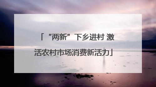“两新”下乡进村 激活农村市场消费新活力