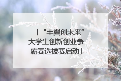 “丰翼创未来”大学生创新创业争霸赛选拔赛启动