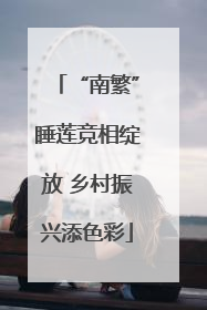 “南繁”睡莲竞相绽放 乡村振兴添色彩
