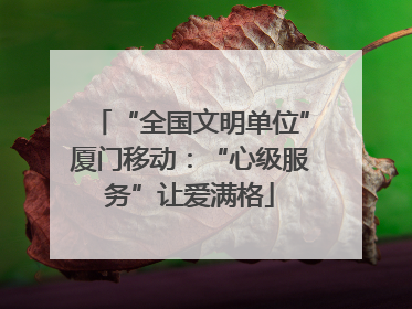 “全国文明单位”厦门移动：“心级服务”让爱满格