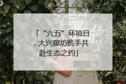 “六五”环境日，大兴廊坊携手共赴生态之约