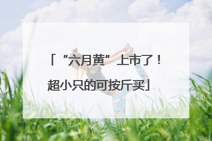 “六月黄”上市了！超小只的可按斤买