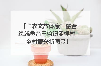 “农文旅体康”融合绘就鱼台王鲁镇孟楼村乡村振兴新图景
