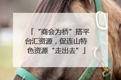 “商会为桥”搭平台汇资源，促连山特色资源“走出去”