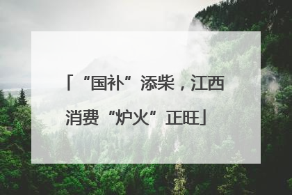 “国补”添柴，江西消费“炉火”正旺