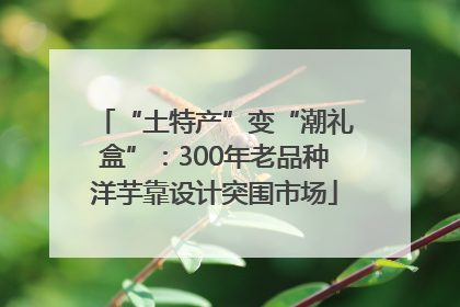 “土特产”变“潮礼盒”：300年老品种洋芋靠设计突围市场