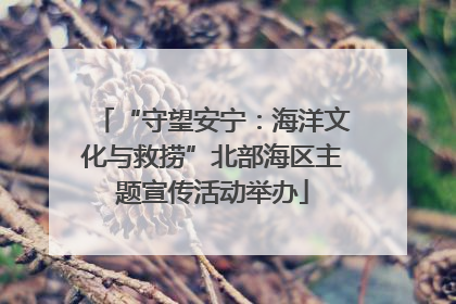 “守望安宁：海洋文化与救捞”北部海区主题宣传活动举办
