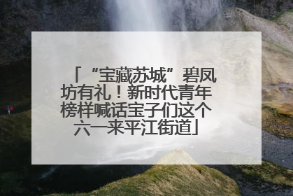 “宝藏苏城”碧凤坊有礼！新时代青年榜样喊话宝子们这个六一来平江街道