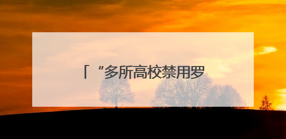 “多所高校禁用罗马仕两万毫安充电宝”，罗马仕发声明道歉：已展开核查
