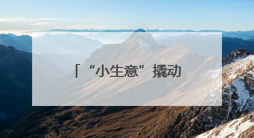 “小生意”撬动“大民生”，拼多多以电商经济推动实现普惠就业