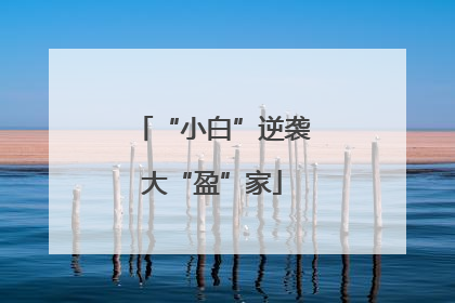 “小白”逆袭大“盈”家