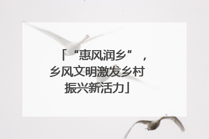 “惠风润乡”，乡风文明激发乡村振兴新活力