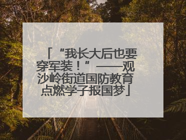 “我长大后也要穿军装！”——观沙岭街道国防教育点燃学子报国梦