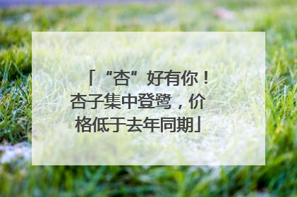 “杏”好有你！杏子集中登鹭，价格低于去年同期