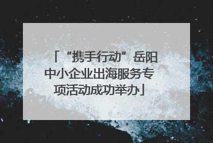 “携手行动”岳阳中小企业出海服务专项活动成功举办