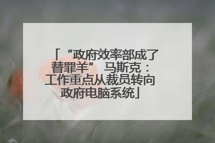 “政府效率部成了替罪羊” 马斯克：工作重点从裁员转向政府电脑系统