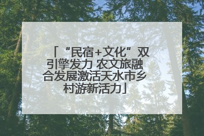 “民宿+文化”双引擎发力 农文旅融合发展激活天水市乡村游新活力