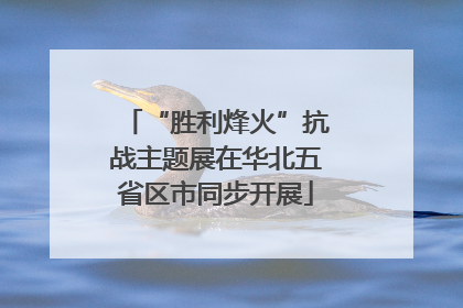 “胜利烽火”抗战主题展在华北五省区市同步开展