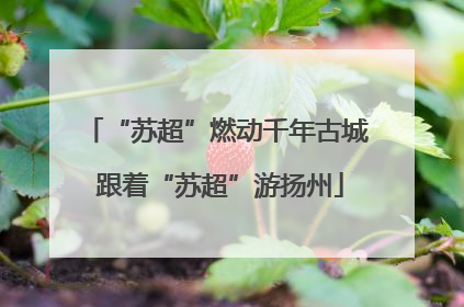 “苏超”燃动千年古城 跟着“苏超”游扬州