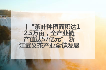 “茶叶种植面积达12.5万亩，全产业链产值达57亿元” 浙江武义茶产业全链发展“加速度”