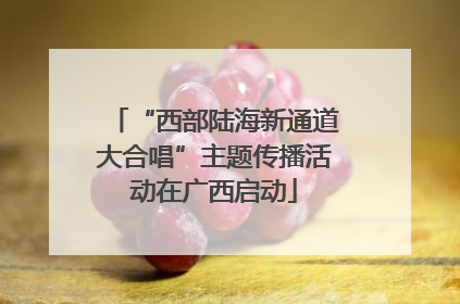“西部陆海新通道大合唱”主题传播活动在广西启动