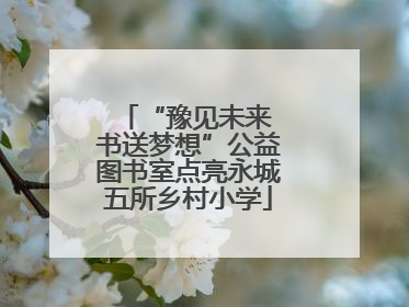 “豫见未来 书送梦想”公益图书室点亮永城五所乡村小学