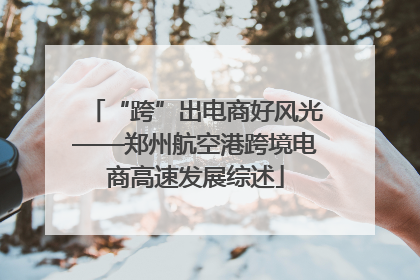 “跨”出电商好风光——郑州航空港跨境电商高速发展综述