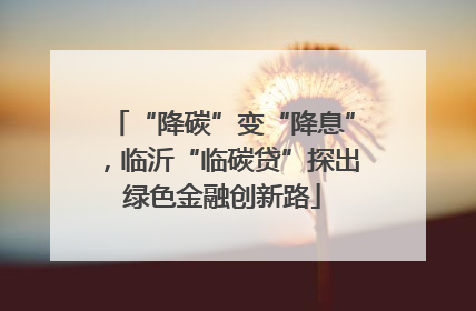 “降碳”变“降息”，临沂“临碳贷”探出绿色金融创新路