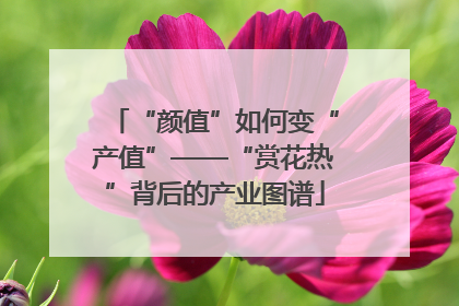 “颜值”如何变“产值”——“赏花热”背后的产业图谱
