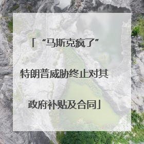 “马斯克疯了” 特朗普威胁终止对其政府补贴及合同