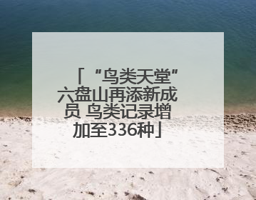 “鸟类天堂”六盘山再添新成员 鸟类记录增加至336种