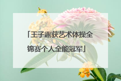 王子露获艺术体操全锦赛个人全能冠军
