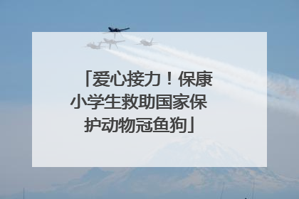 爱心接力！保康小学生救助国家保护动物冠鱼狗