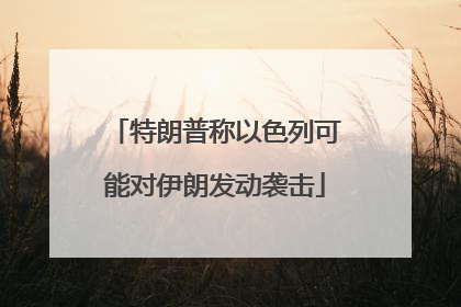 特朗普称以色列可能对伊朗发动袭击
