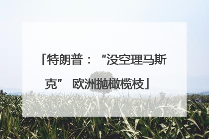 特朗普：“没空理马斯克” 欧洲抛橄榄枝